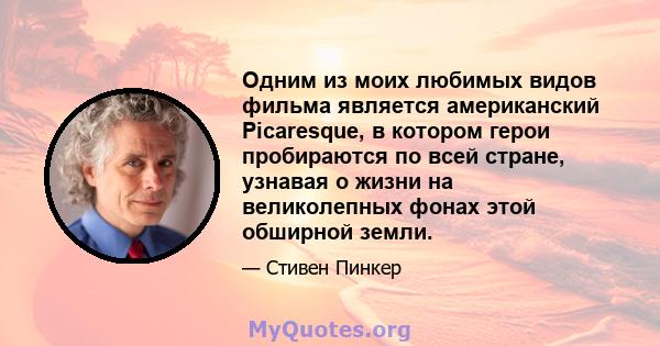 Одним из моих любимых видов фильма является американский Picaresque, в котором герои пробираются по всей стране, узнавая о жизни на великолепных фонах этой обширной земли.