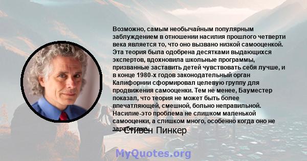 Возможно, самым необычайным популярным заблуждением в отношении насилия прошлого четверти века является то, что оно вызвано низкой самооценкой. Эта теория была одобрена десятками выдающихся экспертов, вдохновила