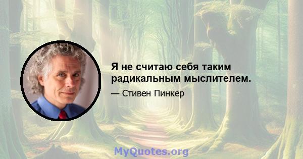 Я не считаю себя таким радикальным мыслителем.