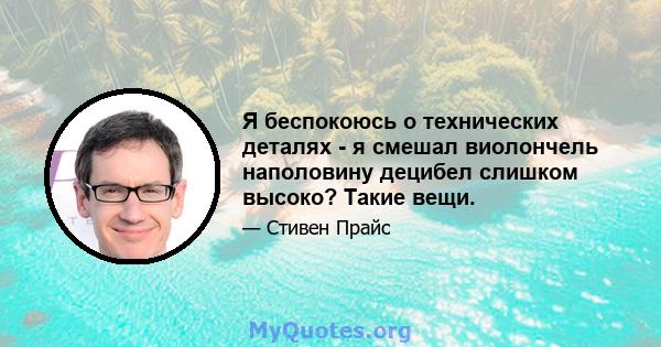 Я беспокоюсь о технических деталях - я смешал виолончель наполовину децибел слишком высоко? Такие вещи.