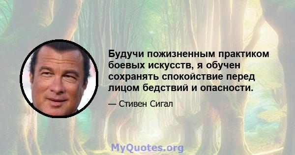 Будучи пожизненным практиком боевых искусств, я обучен сохранять спокойствие перед лицом бедствий и опасности.