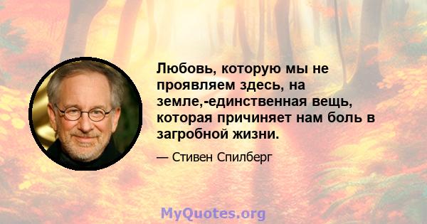 Любовь, которую мы не проявляем здесь, на земле,-единственная вещь, которая причиняет нам боль в загробной жизни.