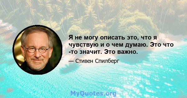 Я не могу описать это, что я чувствую и о чем думаю. Это что -то значит. Это важно.