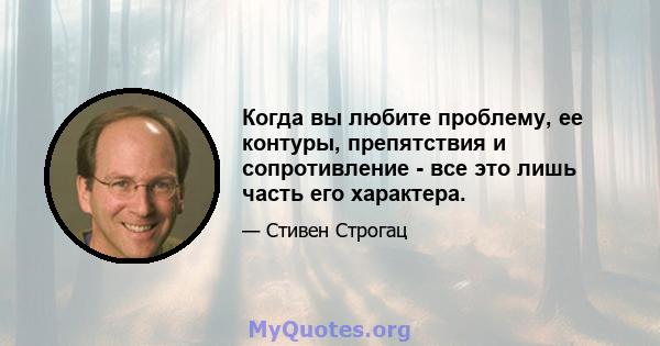 Когда вы любите проблему, ее контуры, препятствия и сопротивление - все это лишь часть его характера.