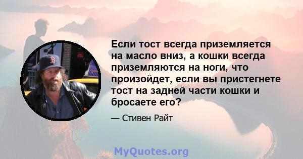 Если тост всегда приземляется на масло вниз, а кошки всегда приземляются на ноги, что произойдет, если вы пристегнете тост на задней части кошки и бросаете его?