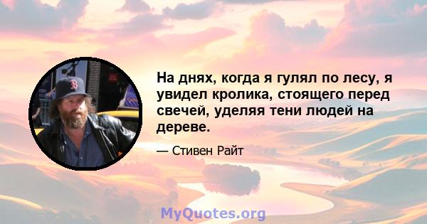 На днях, когда я гулял по лесу, я увидел кролика, стоящего перед свечей, уделяя тени людей на дереве.