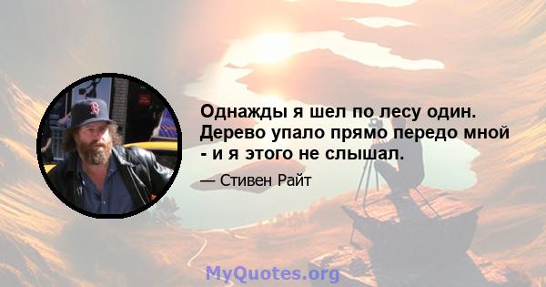 Однажды я шел по лесу один. Дерево упало прямо передо мной - и я этого не слышал.