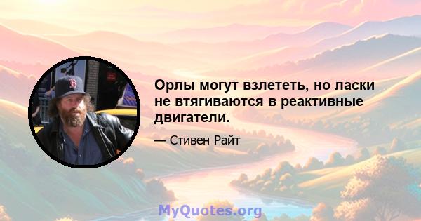 Орлы могут взлететь, но ласки не втягиваются в реактивные двигатели.