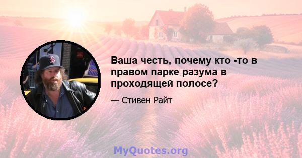 Ваша честь, почему кто -то в правом парке разума в проходящей полосе?