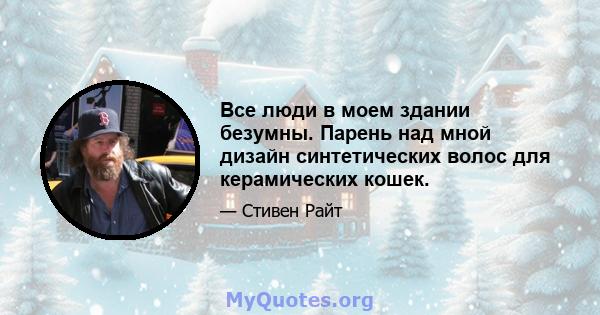 Все люди в моем здании безумны. Парень над мной дизайн синтетических волос для керамических кошек.