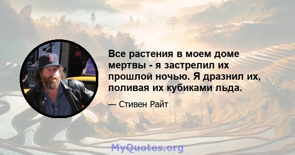 Все растения в моем доме мертвы - я застрелил их прошлой ночью. Я дразнил их, поливая их кубиками льда.