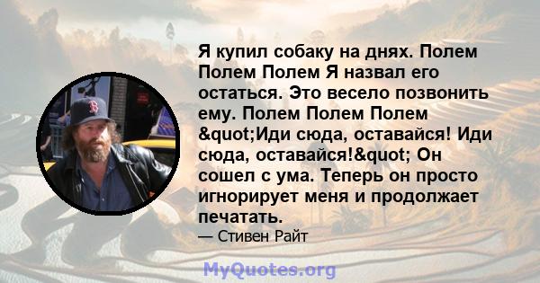 Я купил собаку на днях. Полем Полем Полем Я назвал его остаться. Это весело позвонить ему. Полем Полем Полем "Иди сюда, оставайся! Иди сюда, оставайся!" Он сошел с ума. Теперь он просто игнорирует меня и