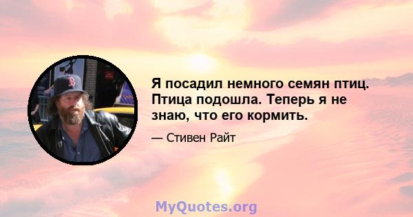 Я посадил немного семян птиц. Птица подошла. Теперь я не знаю, что его кормить.