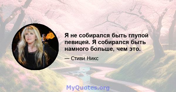 Я не собирался быть глупой певицей. Я собирался быть намного больше, чем это.