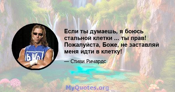 Если ты думаешь, я боюсь стальной клетки ... ты прав! Пожалуйста, Боже, не заставляй меня идти в клетку!