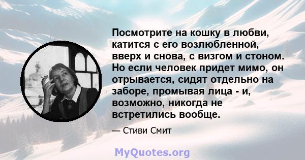 Посмотрите на кошку в любви, катится с его возлюбленной, вверх и снова, с визгом и стоном. Но если человек придет мимо, он отрывается, сидят отдельно на заборе, промывая лица - и, возможно, никогда не встретились вообще.