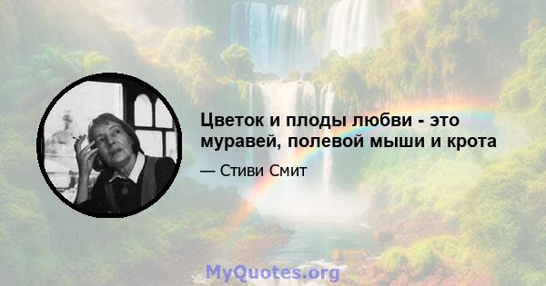 Цветок и плоды любви - это муравей, полевой мыши и крота