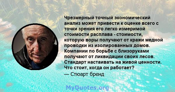 Чрезмерный точный экономический анализ может привести к оценке всего с точки зрения его легко измеримой стоимости расплава - стоимости, которую воры получают от кражи медной проводки из изолированных домов. Компании по