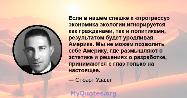 Если в нашем спешке к «прогрессу» экономика экологии игнорируется как гражданами, так и политиками, результатом будет уродливая Америка. Мы не можем позволить себе Америку, где размышляют о эстетике и решениях о