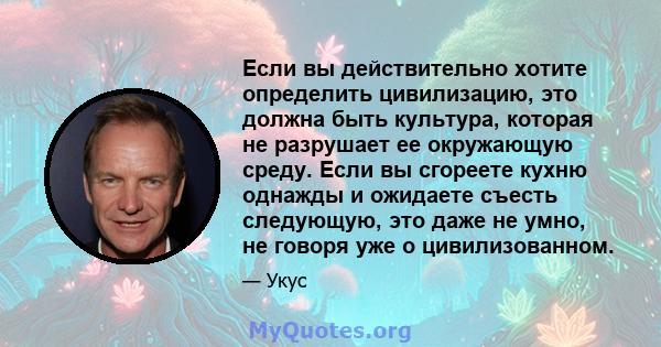 Если вы действительно хотите определить цивилизацию, это должна быть культура, которая не разрушает ее окружающую среду. Если вы сгореете кухню однажды и ожидаете съесть следующую, это даже не умно, не говоря уже о