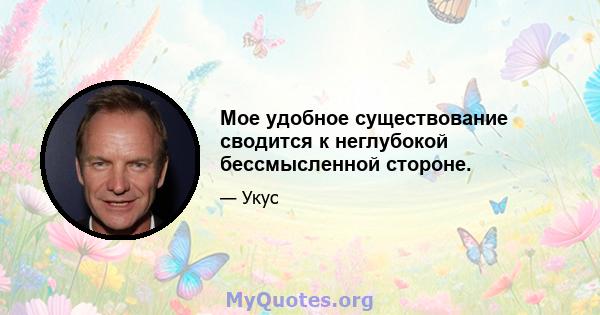 Мое удобное существование сводится к неглубокой бессмысленной стороне.