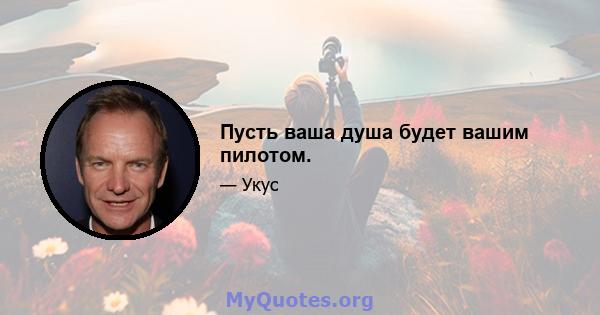 Пусть ваша душа будет вашим пилотом.