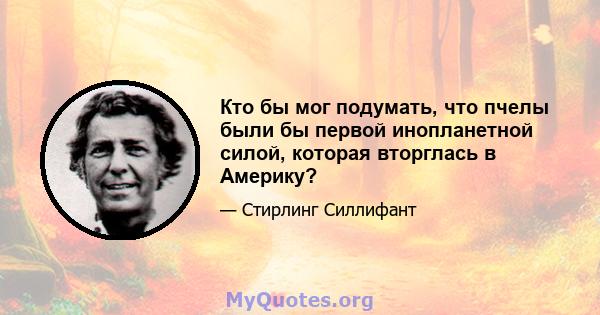 Кто бы мог подумать, что пчелы были бы первой инопланетной силой, которая вторглась в Америку?