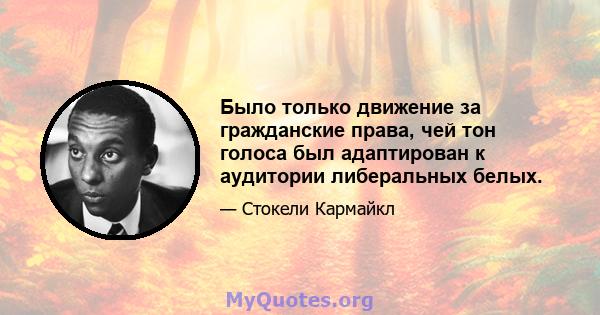 Было только движение за гражданские права, чей тон голоса был адаптирован к аудитории либеральных белых.