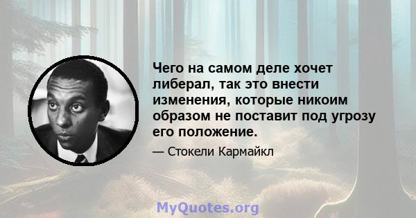 Чего на самом деле хочет либерал, так это внести изменения, которые никоим образом не поставит под угрозу его положение.