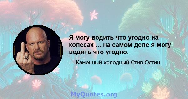 Я могу водить что угодно на колесах ... на самом деле я могу водить что угодно.