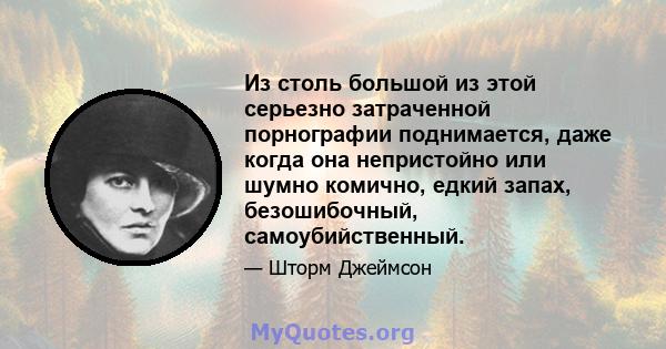 Из столь большой из этой серьезно затраченной порнографии поднимается, даже когда она непристойно или шумно комично, едкий запах, безошибочный, самоубийственный.