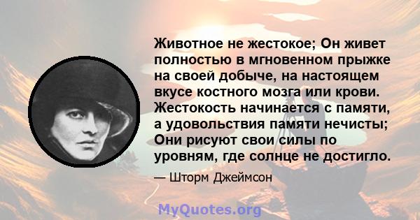 Животное не жестокое; Он живет полностью в мгновенном прыжке на своей добыче, на настоящем вкусе костного мозга или крови. Жестокость начинается с памяти, а удовольствия памяти нечисты; Они рисуют свои силы по уровням,