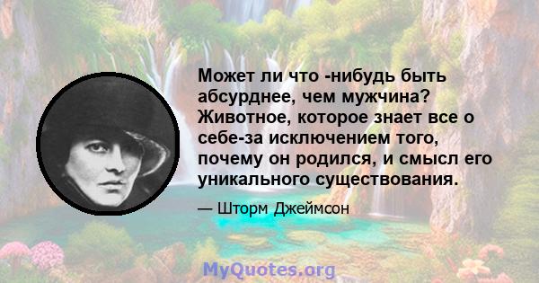 Может ли что -нибудь быть абсурднее, чем мужчина? Животное, которое знает все о себе-за исключением того, почему он родился, и смысл его уникального существования.