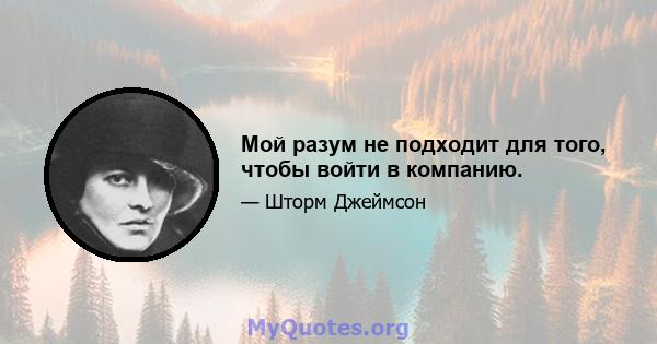 Мой разум не подходит для того, чтобы войти в компанию.