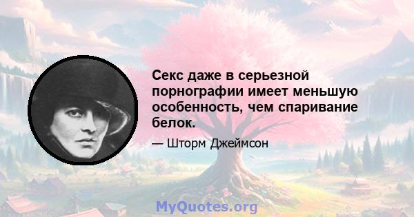 Секс даже в серьезной порнографии имеет меньшую особенность, чем спаривание белок.