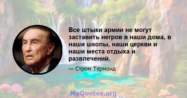 Все штыки армии не могут заставить негров в наши дома, в наши школы, наши церкви и наши места отдыха и развлечений.