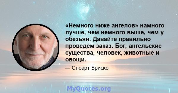 «Немного ниже ангелов» намного лучше, чем немного выше, чем у обезьян. Давайте правильно проведем заказ. Бог, ангельские существа, человек, животные и овощи.