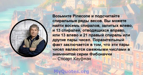 Возьмите Pinecone и подсчитайте спиральные ряды весов. Вы можете найти восемь спиралов, залитых влево, и 13 спиралей, отводящихся вправо, или 13 влево и 21 правый спираль или другие пары чисел. Поразительный факт