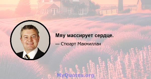 Мяу массирует сердце.