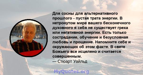 Для сосны для альтернативного прошлого - пустая трата энергии. В нетронутом мире вашего бесконечного духовного я себя не существует греха или негативной энергии. Есть только сострадание, обучение и безусловная любовь и