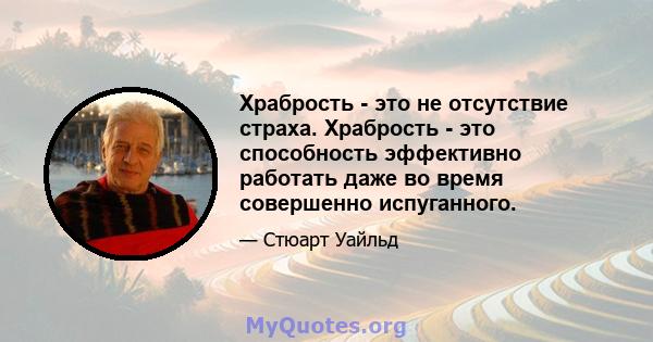 Храбрость - это не отсутствие страха. Храбрость - это способность эффективно работать даже во время совершенно испуганного.