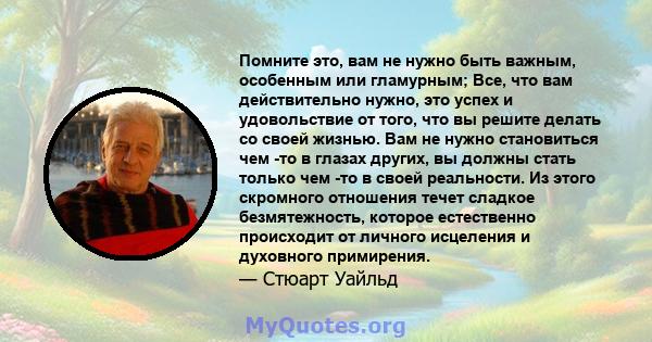 Помните это, вам не нужно быть важным, особенным или гламурным; Все, что вам действительно нужно, это успех и удовольствие от того, что вы решите делать со своей жизнью. Вам не нужно становиться чем -то в глазах других, 