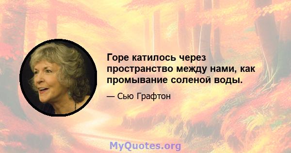 Горе катилось через пространство между нами, как промывание соленой воды.