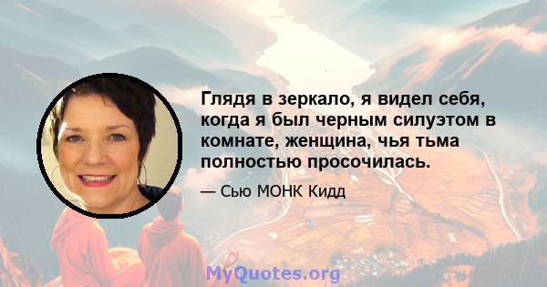 Глядя в зеркало, я видел себя, когда я был черным силуэтом в комнате, женщина, чья тьма полностью просочилась.