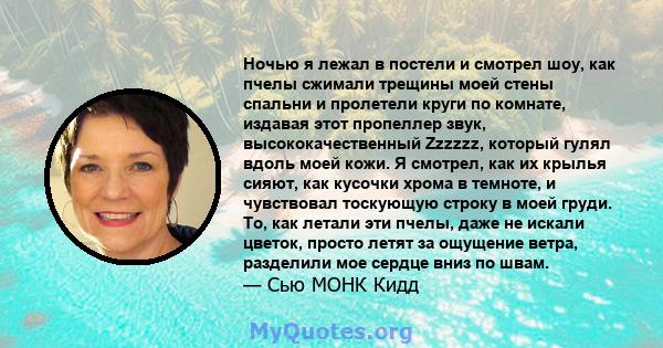 Ночью я лежал в постели и смотрел шоу, как пчелы сжимали трещины моей стены спальни и пролетели круги по комнате, издавая этот пропеллер звук, высококачественный Zzzzzz, который гулял вдоль моей кожи. Я смотрел, как их