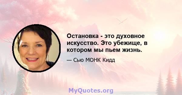 Остановка - это духовное искусство. Это убежище, в котором мы пьем жизнь.