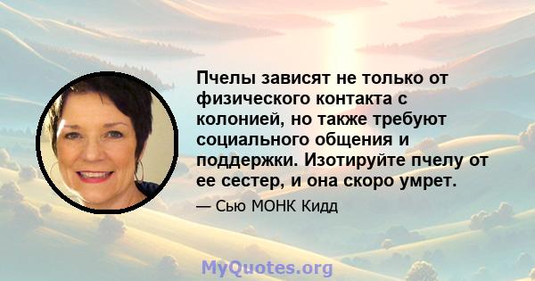 Пчелы зависят не только от физического контакта с колонией, но также требуют социального общения и поддержки. Изотируйте пчелу от ее сестер, и она скоро умрет.