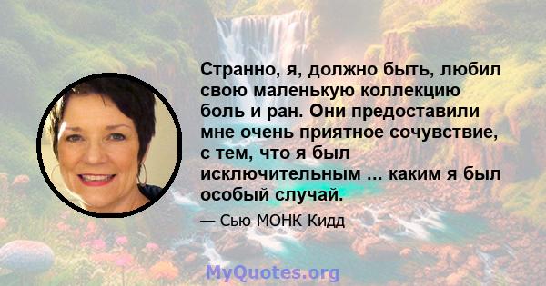 Странно, я, должно быть, любил свою маленькую коллекцию боль и ран. Они предоставили мне очень приятное сочувствие, с тем, что я был исключительным ... каким я был особый случай.