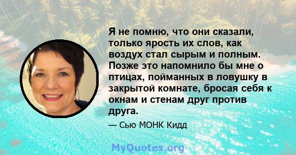 Я не помню, что они сказали, только ярость их слов, как воздух стал сырым и полным. Позже это напомнило бы мне о птицах, пойманных в ловушку в закрытой комнате, бросая себя к окнам и стенам друг против друга.