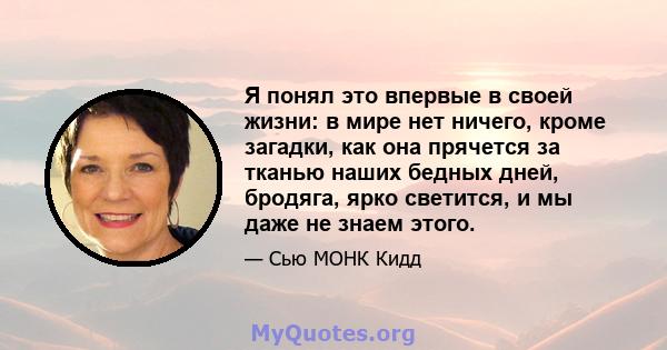 Я понял это впервые в своей жизни: в мире нет ничего, кроме загадки, как она прячется за тканью наших бедных дней, бродяга, ярко светится, и мы даже не знаем этого.